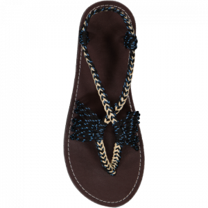 Seashell Black Blue Zebra